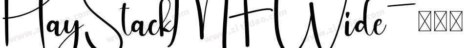 HayStackMF Wide字体转换